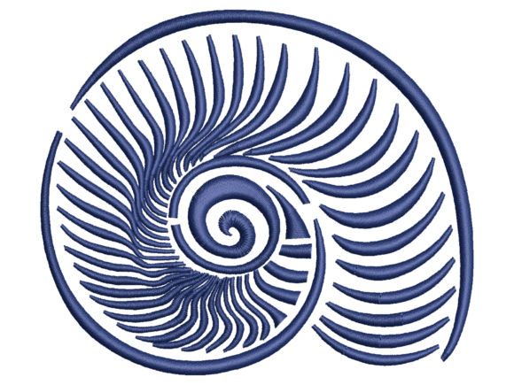 Ammonite Cross Section Embroidery: A Designer’s Real-World Review